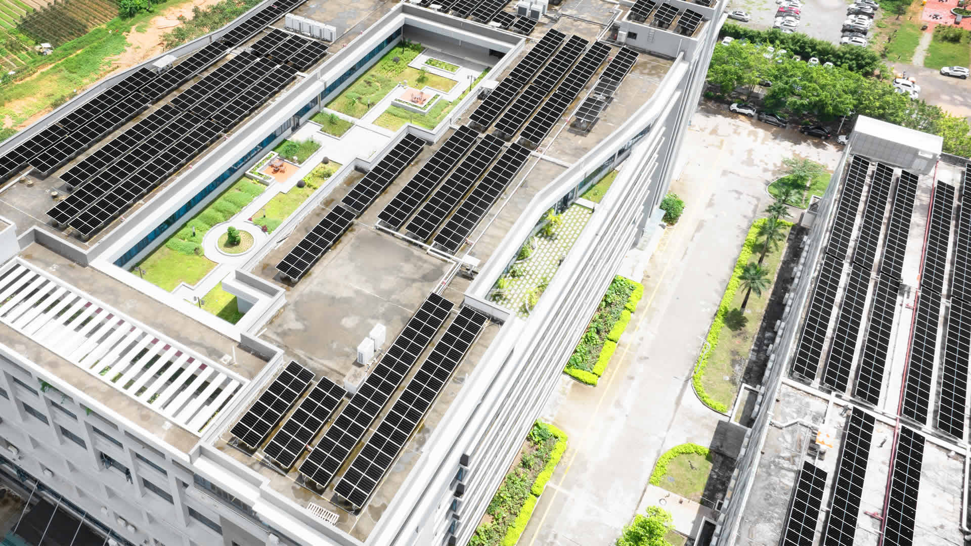 珠；诳萍及咐