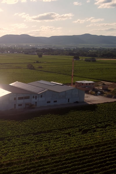 Photovoltaik-Stromerzeugungsprojekt für ein Weingut in Deutschland
