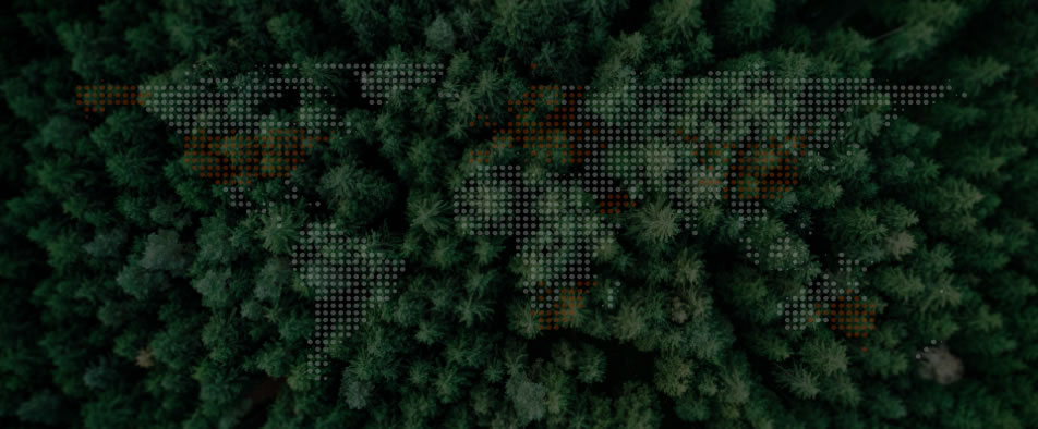 壹定发全球零碳案例